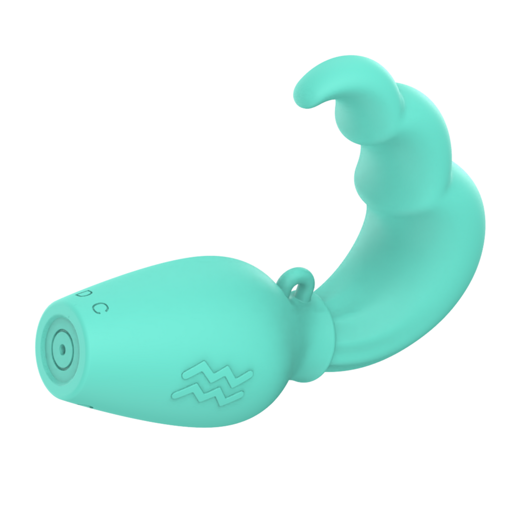 Aquarius Mini Vibe - Our Erotic Journey