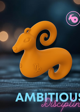 Capricorn Mini Vibe