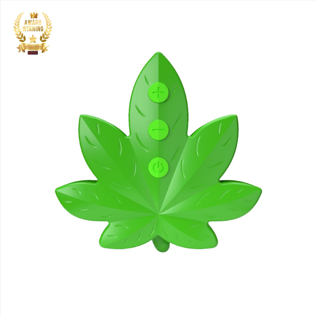 Sexy Pot Remote Egg Vibrator - Our Erotic Journey